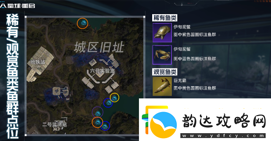 星球重启金色鱼钓鱼点位置一览