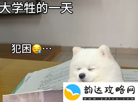 大学牲是什么梗络用语