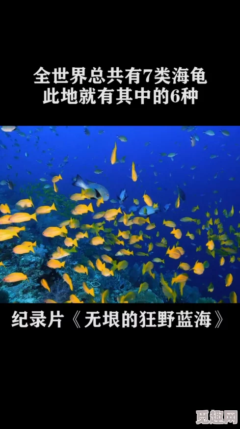 蝌蚪自拍网二区