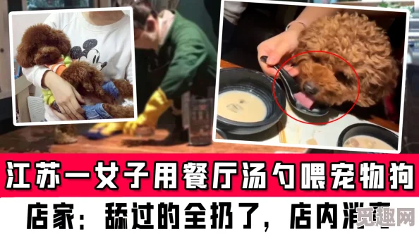 男人舔女人的视频引发热议