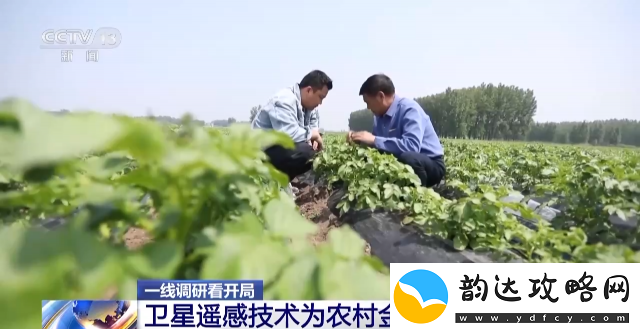 探寻秘境中的神奇之草