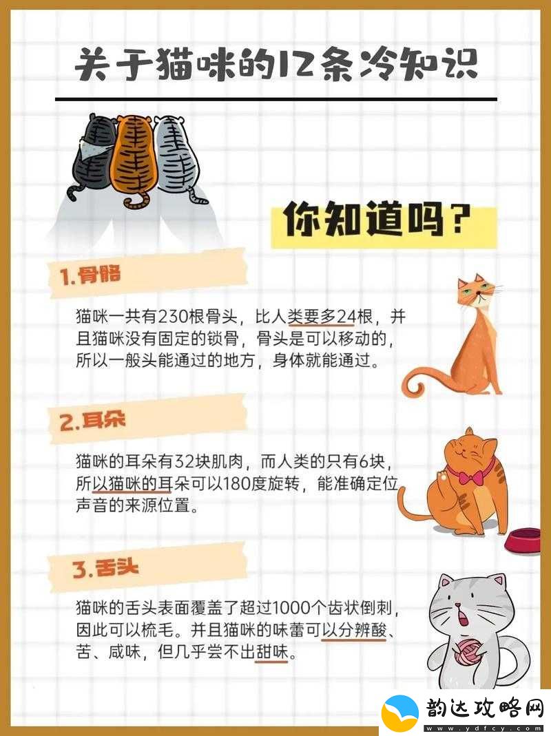 泡泡女神升星必备材料获取攻略大全
