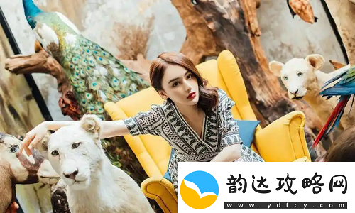 揭秘九幺黄9·1安装的隐藏功能