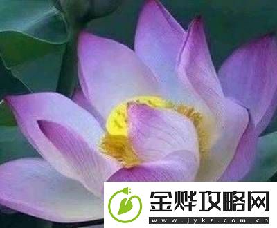 2021年好听的微信名字有哪些