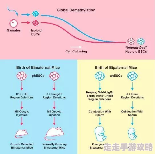 男男怀孕做到生h