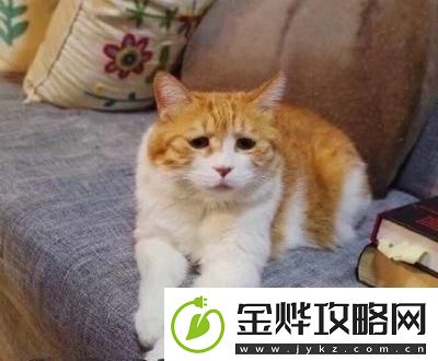 2021年好听的微信名字有哪些