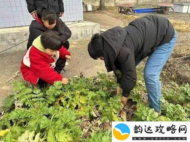 光腿拔萝卜
