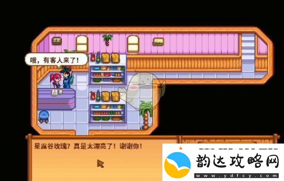 星露谷物语海盗的妻子任务怎么做