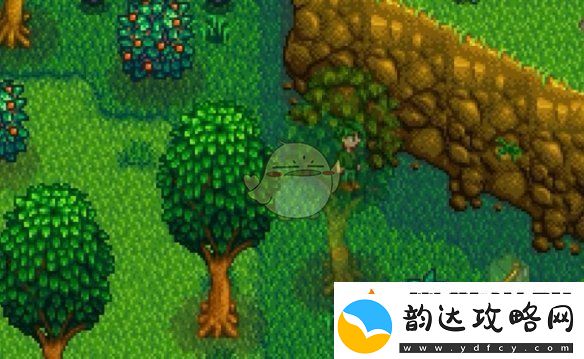 星露谷物语罗宾丢失的斧子任务怎么做
