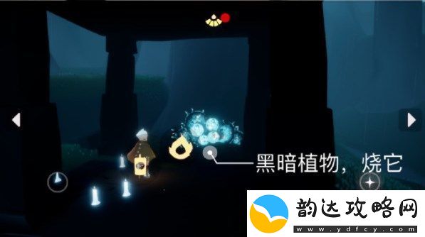 光遇5.6任务攻略