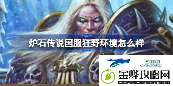 炉石传说国服回归狂野环境介绍