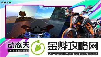 盐和避难所