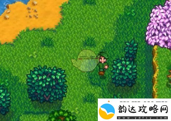 星露谷物语罗宾丢失的斧子任务怎么做