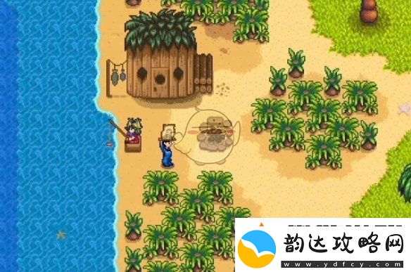 星露谷物语海盗的妻子任务怎么做