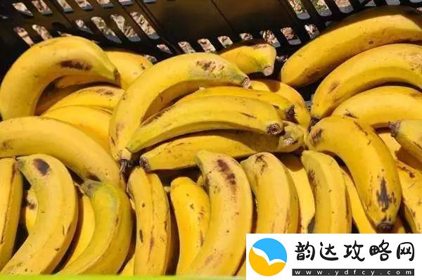 深度剖析