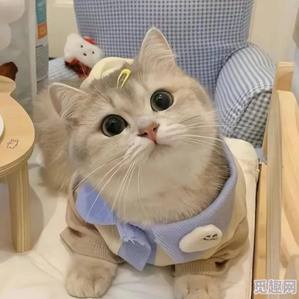 猫メイド