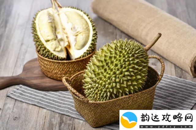 探索新一代健康生活方式