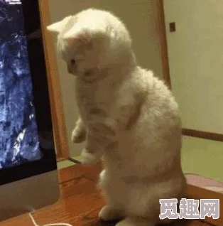 猫メイド