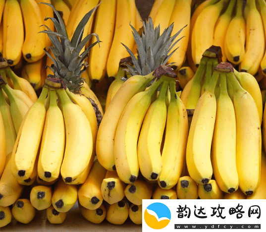 探索果农增收新途径