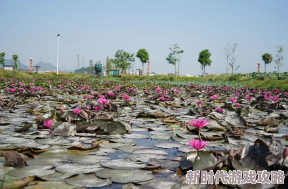 俄罗斯bbwTV最新动态